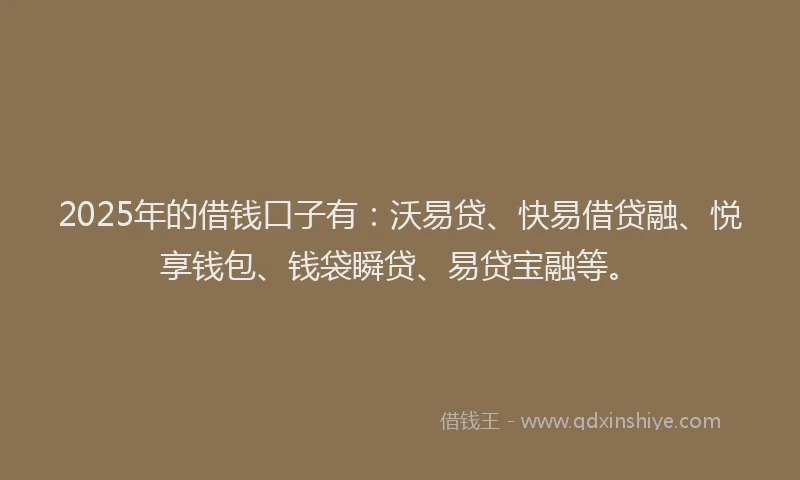 2025年的借钱口子有：沃易贷、快易借贷融、悦享钱包、钱袋瞬贷、易贷宝融等。