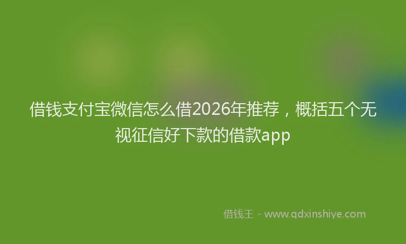 借钱支付宝微信怎么借2026年推荐，概括五个无视征信好下款的借款app