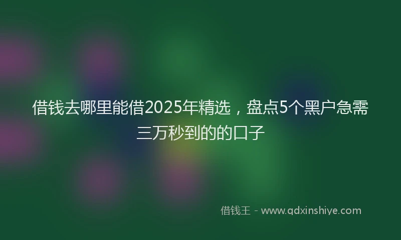 借钱去哪里能借2025年精选，盘点5个黑户急需三万秒到的的口子