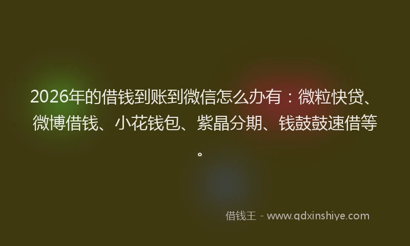2026年的借钱到账到微信怎么办有：微粒快贷、微博借钱、小花钱包、紫晶分期、钱鼓鼓速借等。