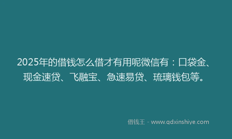 2025年的借钱怎么借才有用呢微信有：口袋金、现金速贷、飞融宝、急速易贷、琉璃钱包等。
