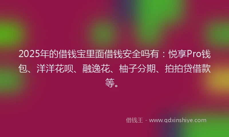 2025年的借钱宝里面借钱安全吗有：悦享Pro钱包、洋洋花呗、融逸花、柚子分期、拍拍贷借款等。