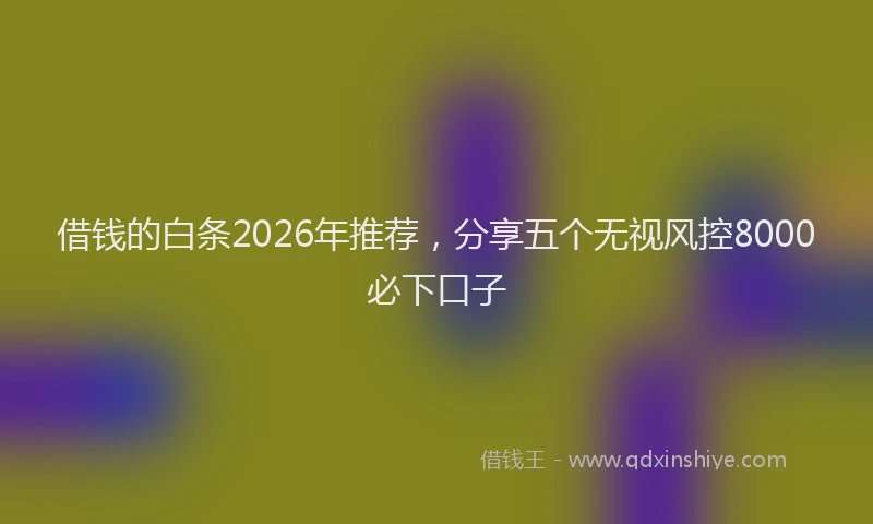 借钱的白条2026年推荐,分享五个无视风控8000必下口子