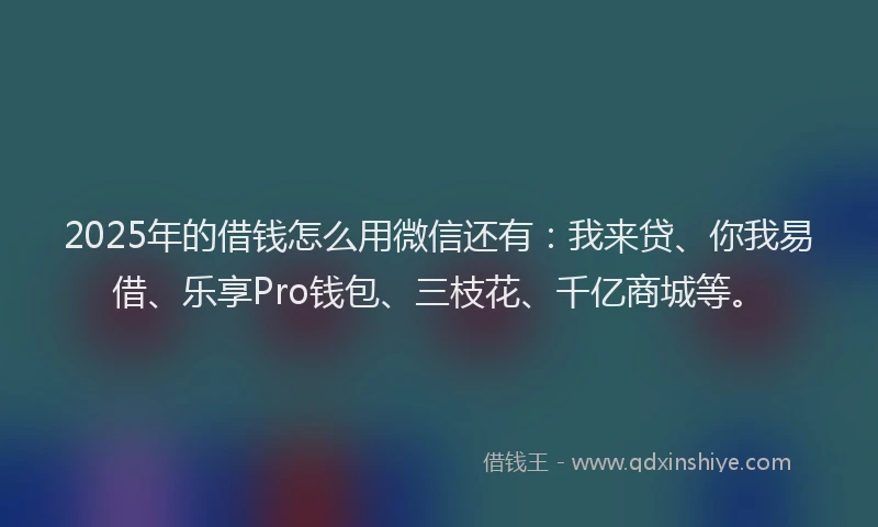 2025年的借钱怎么用微信还有：我来贷、你我易借、乐享Pro钱包、三枝花、千亿商城等。