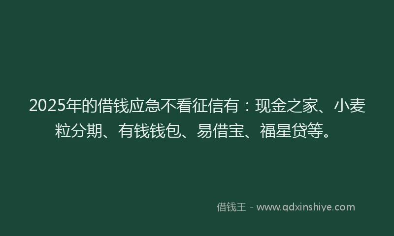 2025年的借钱应急不看征信有:现金之家、小麦粒分期、有钱钱包、易借宝、福星贷等。