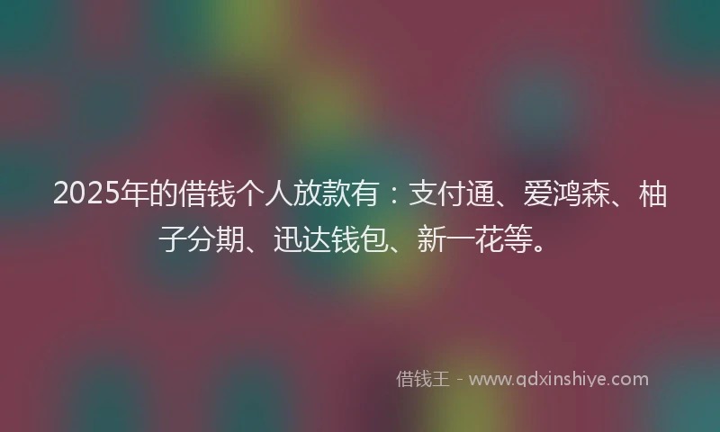 2025年的借钱个人放款有：支付通、爱鸿森、柚子分期、迅达钱包、新一花等。