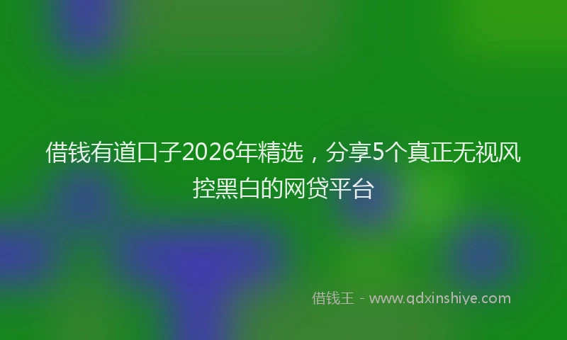借钱有道口子2026年精选，分享5个真正无视风控黑白的网贷平台