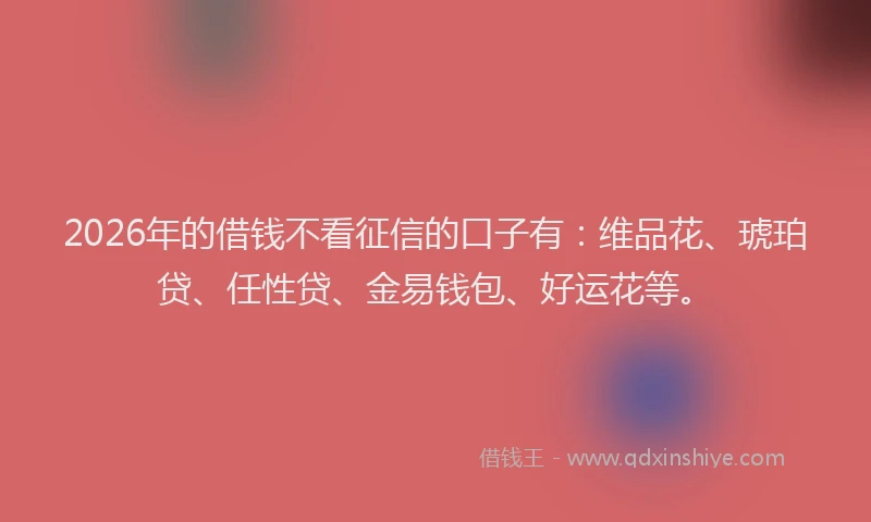 2026年的借钱不看征信的口子有：维品花、琥珀贷、任性贷、金易钱包、好运花等。