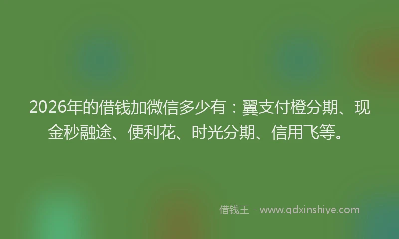 2026年的借钱加微信多少有:翼支付橙分期、现金秒融途、便利花、时光分期、信用飞等。