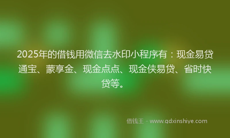 2025年的借钱用微信去水印小程序有：现金易贷通宝、蒙享金、现金点点、现金侠易贷、省时快贷等。
