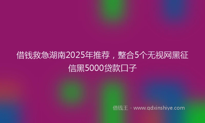 借钱救急湖南2025年推荐，整合5个无视网黑征信黑5000贷款口子