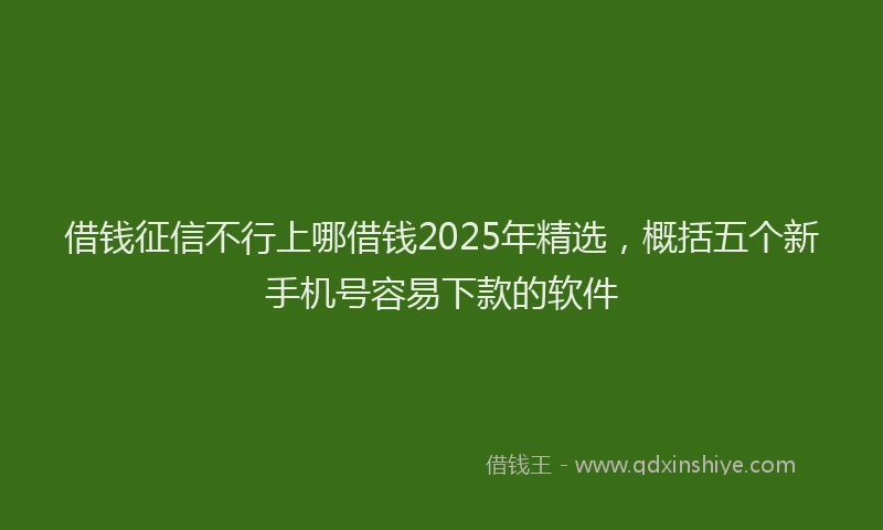 借钱征信不行上哪借钱2025年精选，概括五个新手机号容易下款的软件