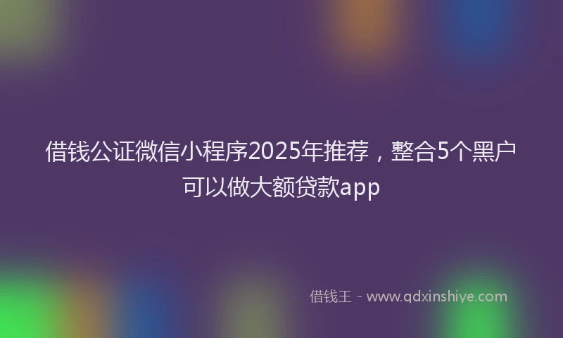 借钱公证微信小程序2025年推荐,整合5个黑户可以做大额贷款app
