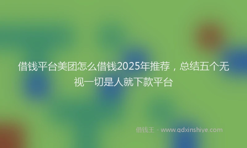 借钱平台美团怎么借钱2025年推荐，总结五个无视一切是人就下款平台