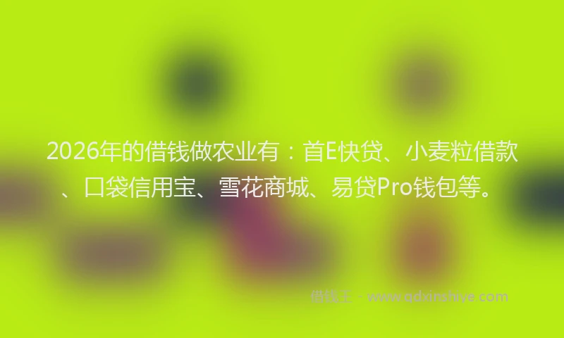 2026年的借钱做农业有：首E快贷、小麦粒借款、口袋信用宝、雪花商城、易贷Pro钱包等。