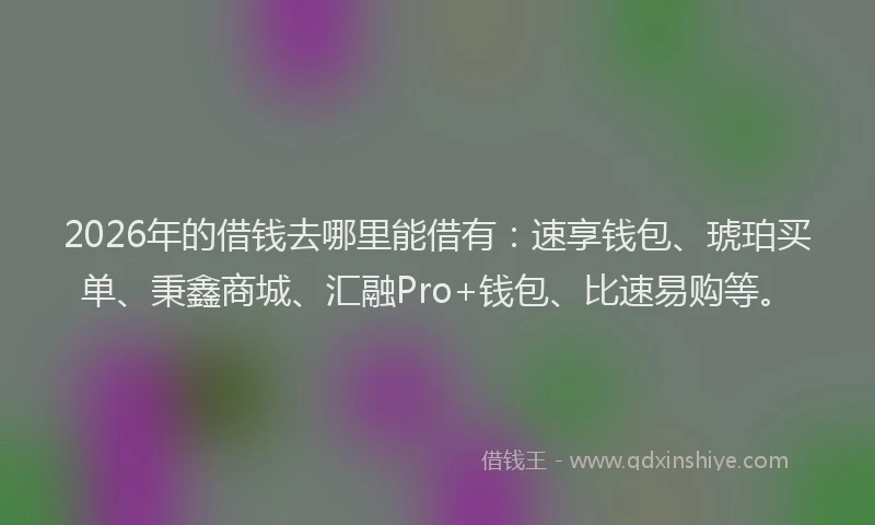 2026年的借钱去哪里能借有：速享钱包、琥珀买单、秉鑫商城、汇融Pro+钱包、比速易购等。