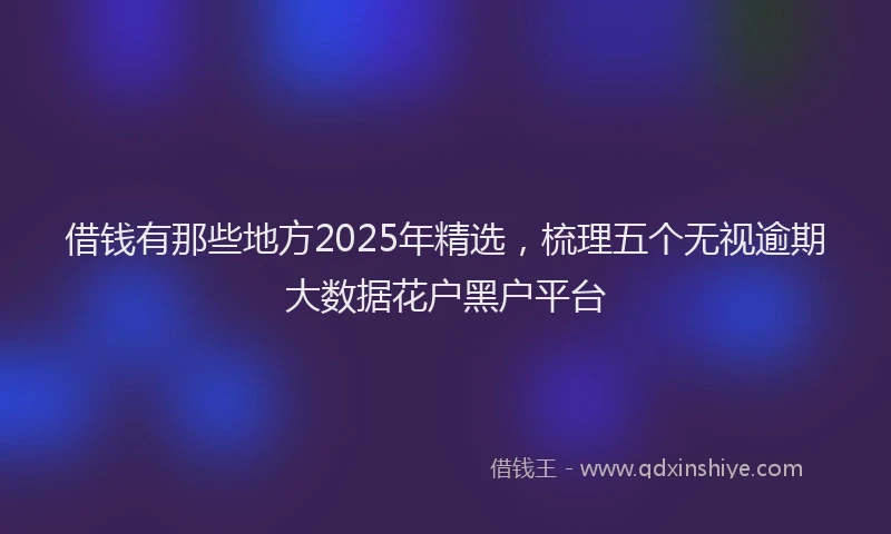 借钱有那些地方2025年精选，梳理五个无视逾期大数据花户黑户平台