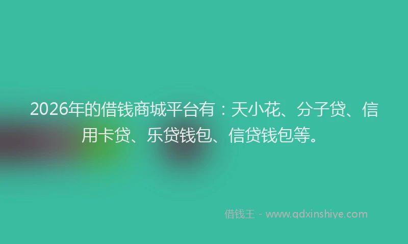 2026年的借钱商城平台有：天小花、分子贷、信用卡贷、乐贷钱包、信贷钱包等。