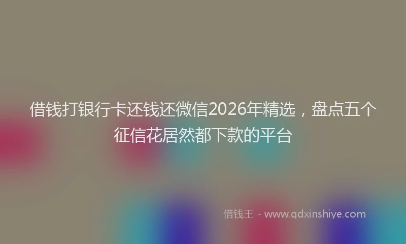 借钱打银行卡还钱还微信2026年精选，盘点五个征信花居然都下款的平台