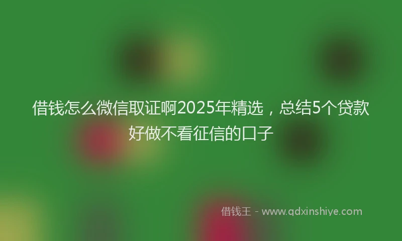 借钱怎么微信取证啊2025年精选，总结5个贷款好做不看征信的口子