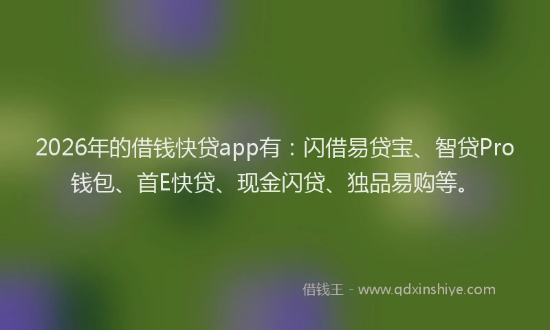 2026年的借钱快贷app有:闪借易贷宝、智贷Pro钱包、首E快贷、现金闪贷、独品易购等。