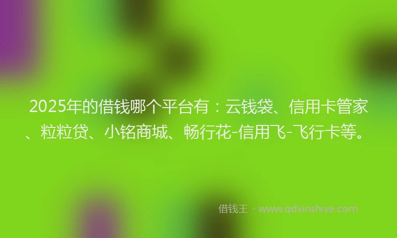 2025年的借钱哪个平台有:云钱袋、信用卡管家、粒粒贷、小铭商城、畅行花-信用飞-飞行卡等。