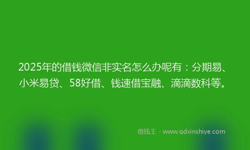 2025年的借钱微信非实名怎么办呢有：分期易、小米易贷、58好借、钱速借宝融、滴滴数科等。
