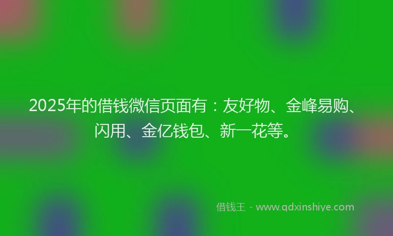 2025年的借钱微信页面有:友好物、金峰易购、闪用、金亿钱包、新一花等。