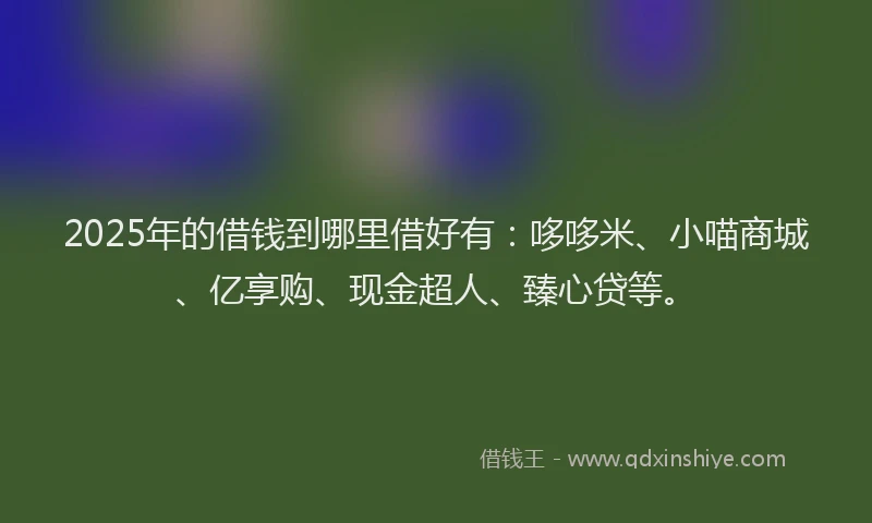 2025年的借钱到哪里借好有：哆哆米、小喵商城、亿享购、现金超人、臻心贷等。