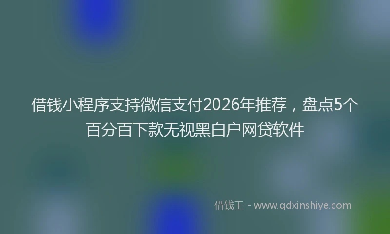 借钱小程序支持微信支付2026年推荐,盘点5个百分百下款无视黑白户网贷软件