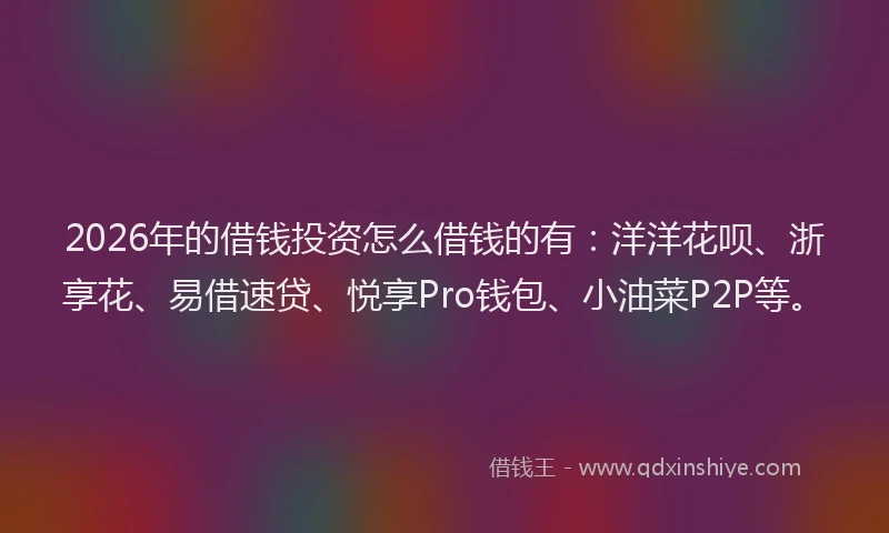 2026年的借钱投资怎么借钱的有:洋洋花呗、浙享花、易借速贷、悦享Pro钱包、小油菜P2P等。