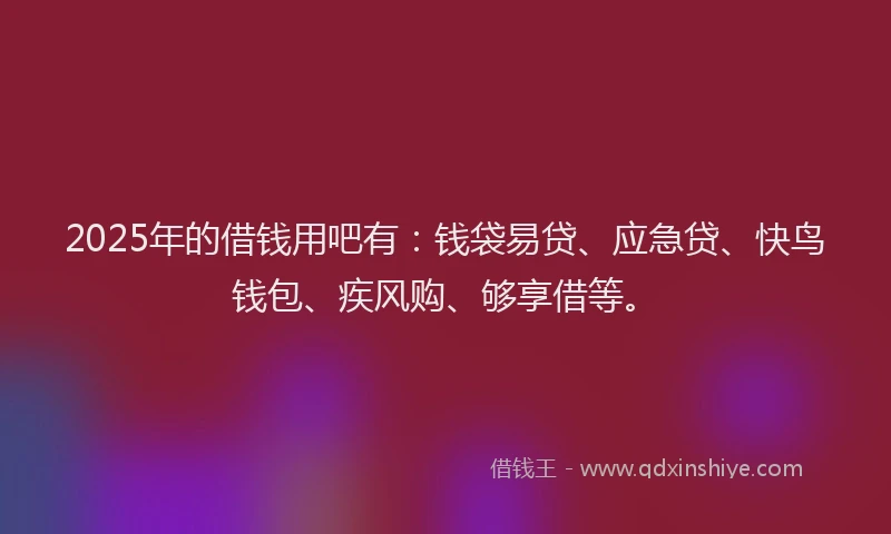 2025年的借钱用吧有：钱袋易贷、应急贷、快鸟钱包、疾风购、够享借等。