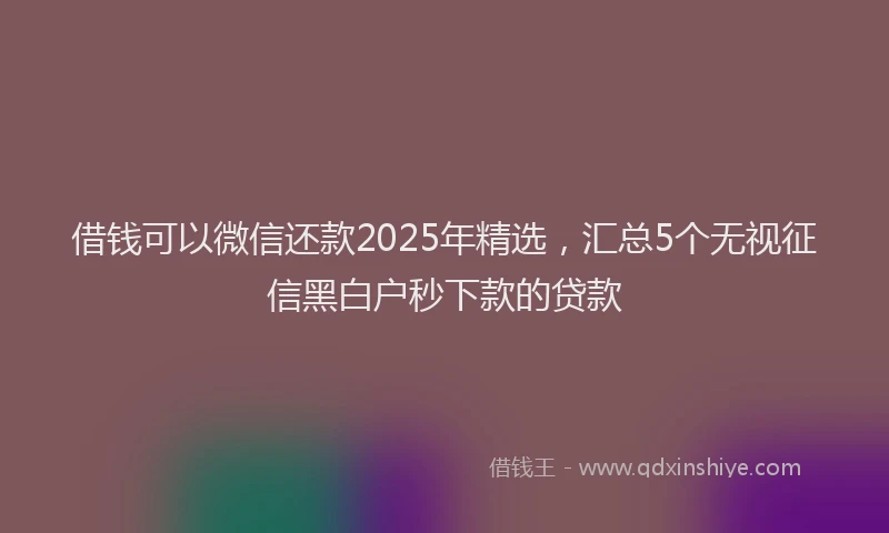 借钱可以微信还款2025年精选，汇总5个无视征信黑白户秒下款的贷款
