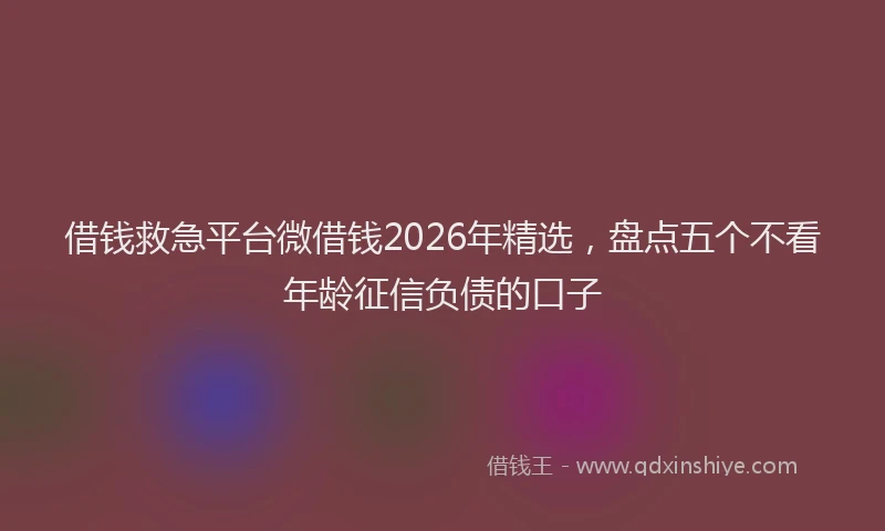 借钱救急平台微借钱2026年精选，盘点五个不看年龄征信负债的口子