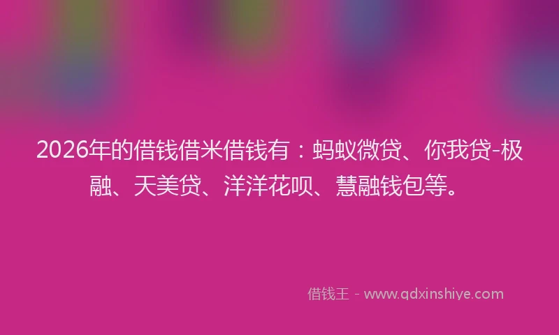 2026年的借钱借米借钱有：蚂蚁微贷、你我贷-极融、天美贷、洋洋花呗、慧融钱包等。