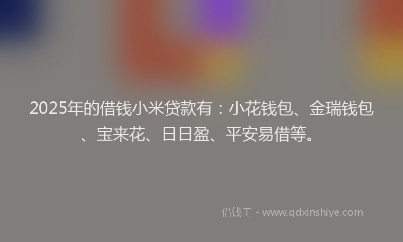 2025年的借钱小米贷款有：小花钱包、金瑞钱包、宝来花、日日盈、平安易借等。