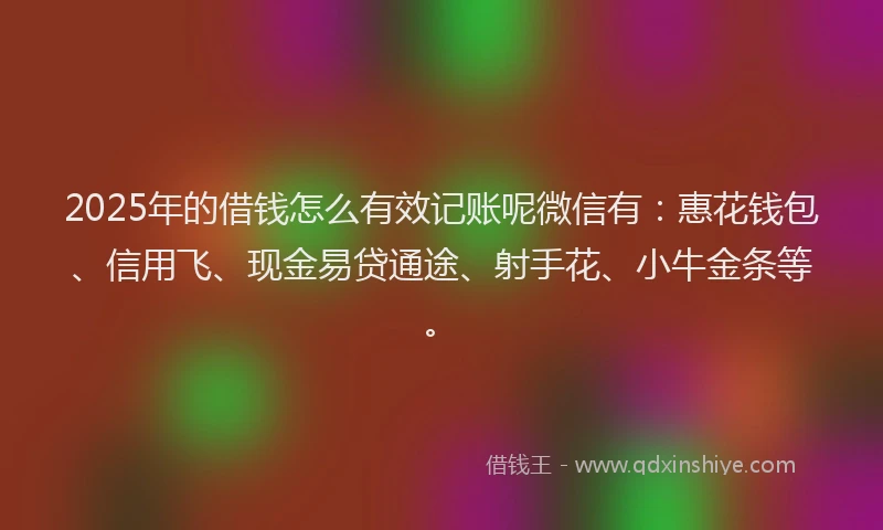 2025年的借钱怎么有效记账呢微信有：惠花钱包、信用飞、现金易贷通途、射手花、小牛金条等。