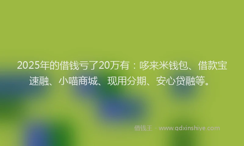2025年的借钱亏了20万有：哆来米钱包、借款宝速融、小喵商城、现用分期、安心贷融等。