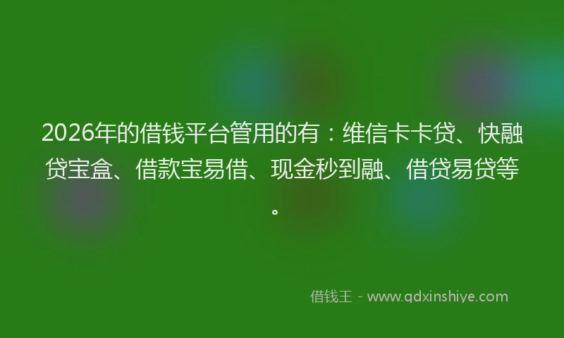 2026年的借钱平台管用的有：维信卡卡贷、快融贷宝盒、借款宝易借、现金秒到融、借贷易贷等。