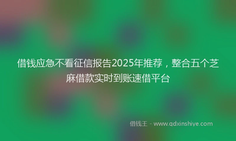 借钱应急不看征信报告2025年推荐,整合五个芝麻借款实时到账速借平台
