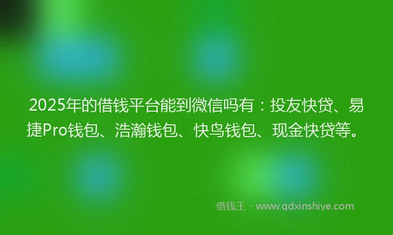 2025年的借钱平台能到微信吗有：投友快贷、易捷Pro钱包、浩瀚钱包、快鸟钱包、现金快贷等。