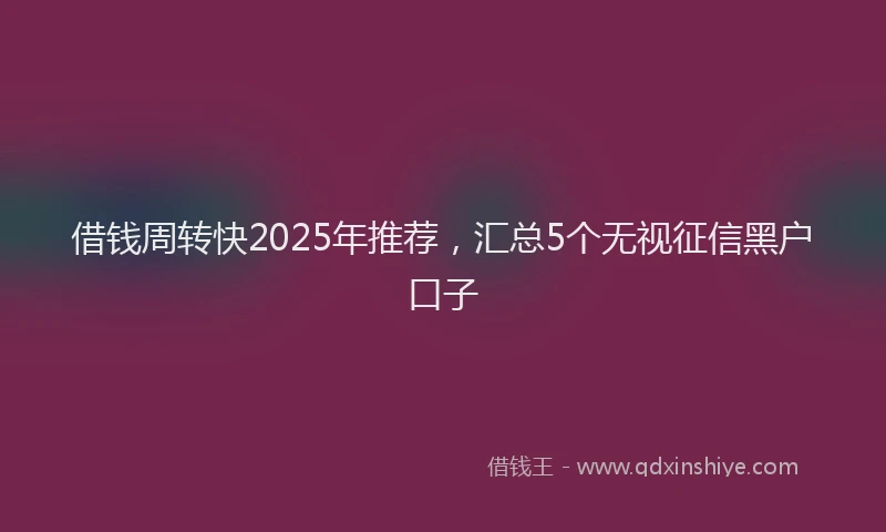 借钱周转快2025年推荐，汇总5个无视征信黑户口子