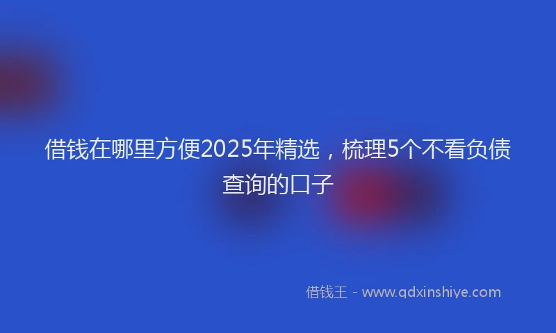 借钱在哪里方便2025年精选，梳理5个不看负债查询的口子