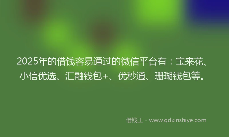 2025年的借钱容易通过的微信平台有:宝来花、小信优选、汇融钱包+、优秒通、珊瑚钱包等。