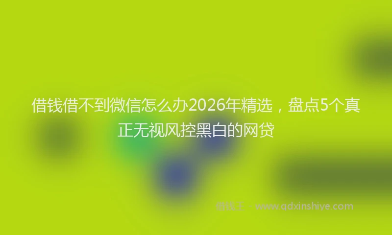 借钱借不到微信怎么办2026年精选，盘点5个真正无视风控黑白的网贷