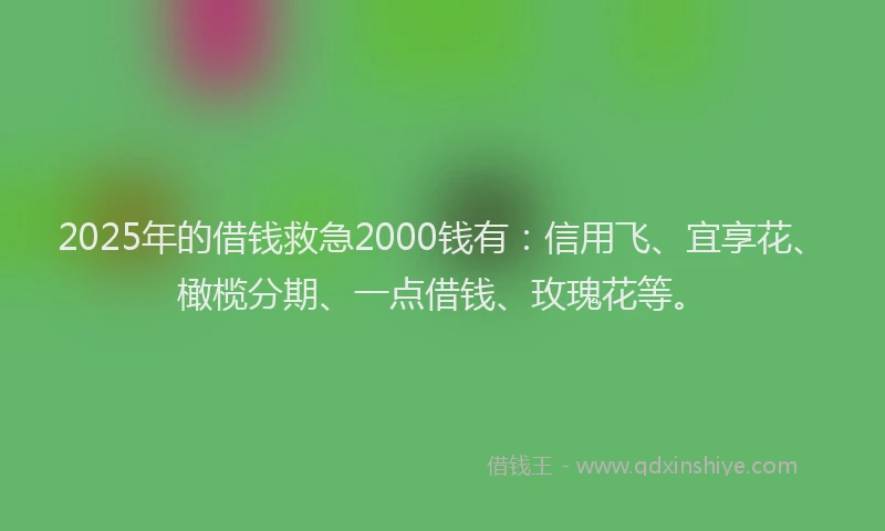 2025年的借钱救急2000钱有：信用飞、宜享花、橄榄分期、一点借钱、玫瑰花等。