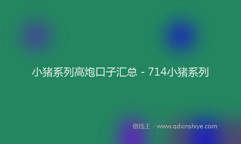 小猪系列高炮口子汇总 - 714小猪系列