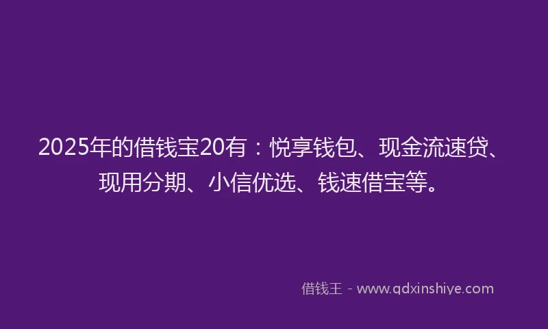 2025年的借钱宝20有：悦享钱包、现金流速贷、现用分期、小信优选、钱速借宝等。