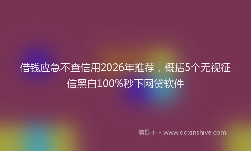 借钱应急不查信用2026年推荐，概括5个无视征信黑白100%秒下网贷软件