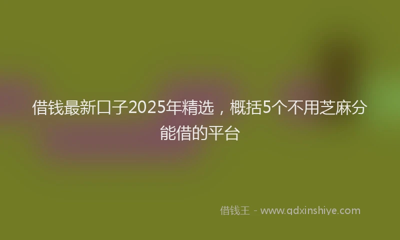 借钱最新口子2025年精选，概括5个不用芝麻分能借的平台